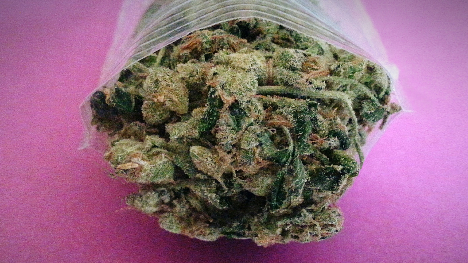 a packet of weed